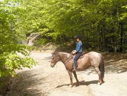 Ride on horseback in the countryside